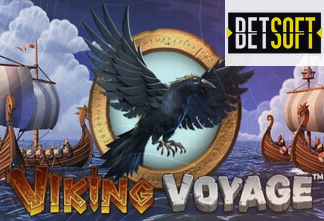 Viking Voyage